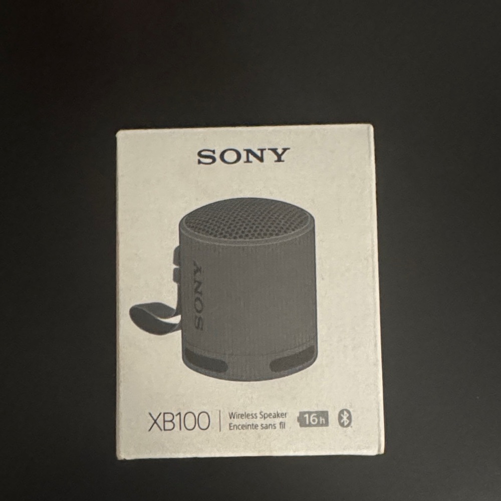 Sony XB100 Portable home Speaker - Gray